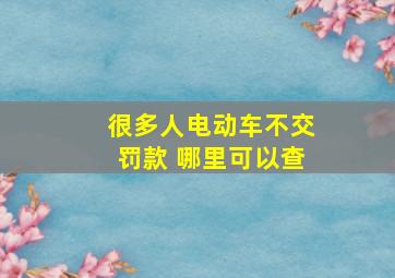 很多人电动车不交罚款 哪里可以查